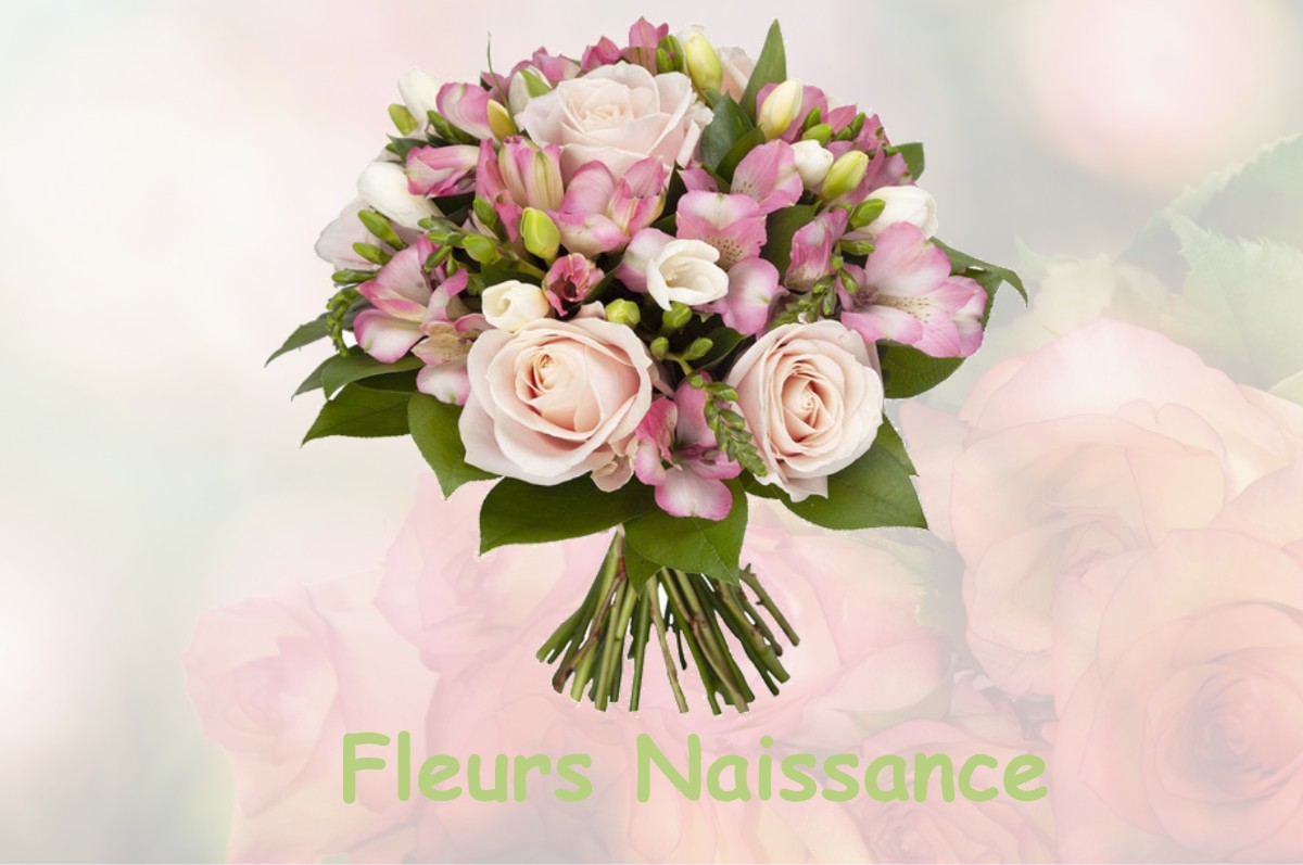 fleurs naissance EQUENNES-ERAMECOURT